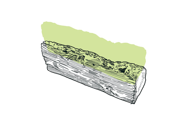 Firewood 26/31