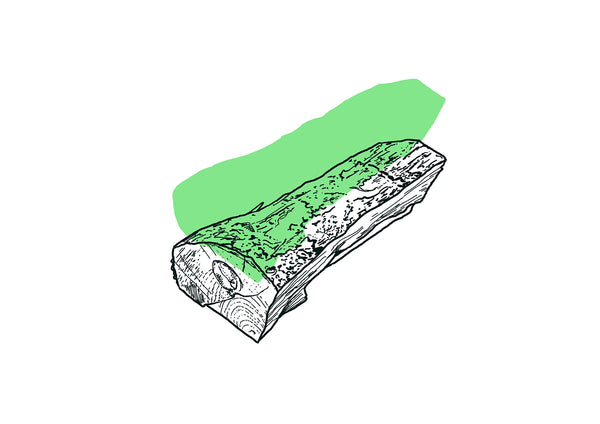 Firewood 12/31